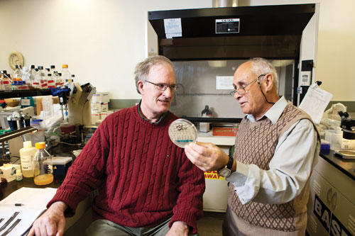 Drs. Jim Cregg and Illya Tolstorukov